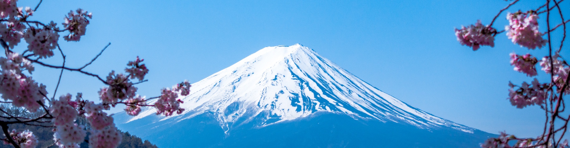 Your Gateway to Japan’s Hidden Treasures – Day & Night